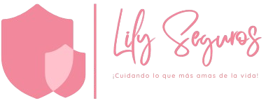 Lyr Seguros
